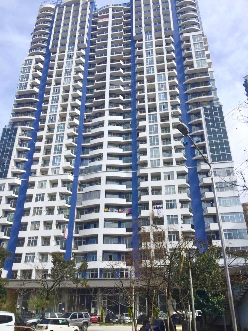 巴统Pirosmani 18D, 12 Floor公寓 外观 照片